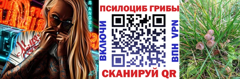 Галлюциногенные грибы прущие грибы Верхотурье