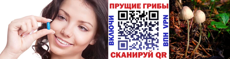 Галлюциногенные грибы мухоморы  где продают   Верхотурье 