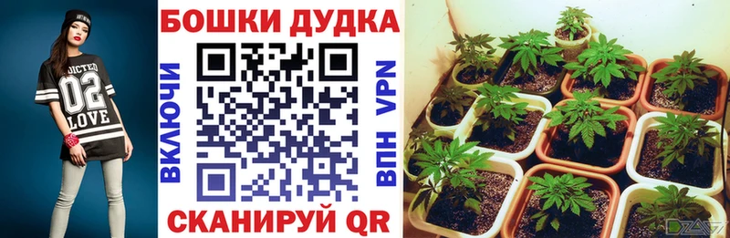 Марихуана гибрид  Верхотурье 